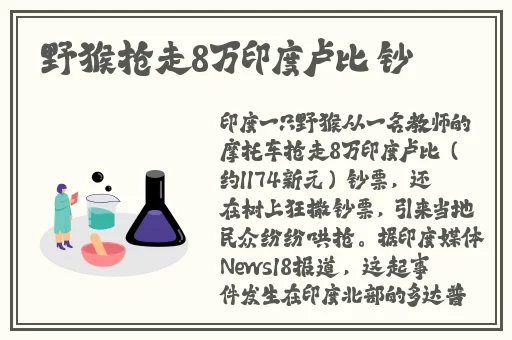 久久国产精品cijilu免费